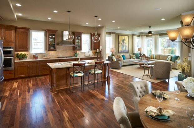 Open Concept Kitchen-Living Room Design Ideas - The WoW Style