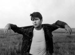 Martin Sheen as Kit Carruthers