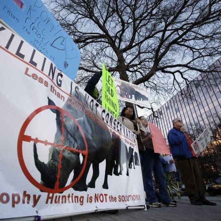 U.S. Will Allow Hunters to Bring Home Rhino Trophies