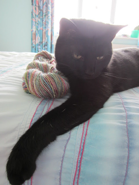 Flo likes yarn (1)