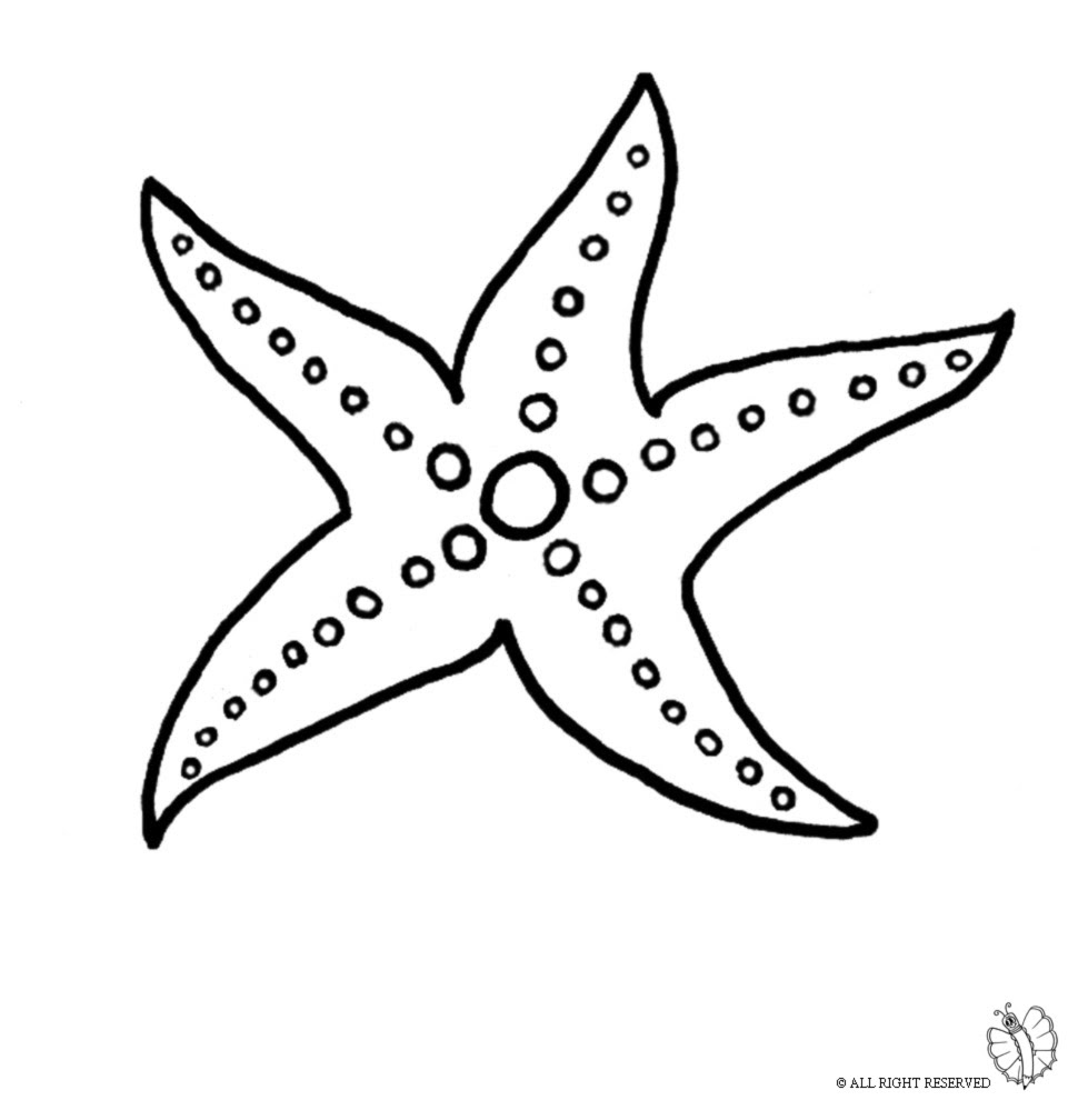 Disegno di Stella Marina da scaricare