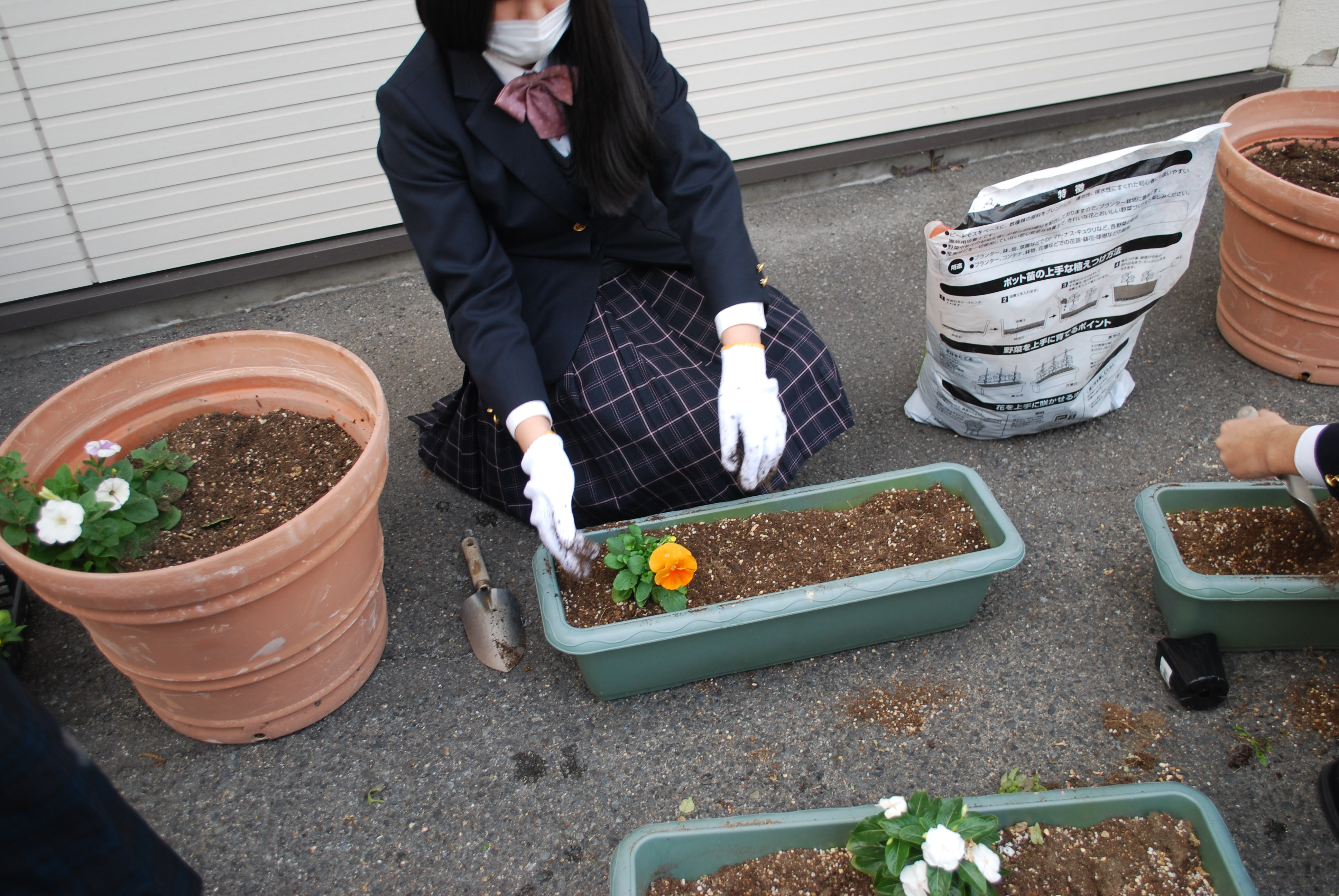 花の植え替え クラーク記念国際高等学校岡山キャンパス