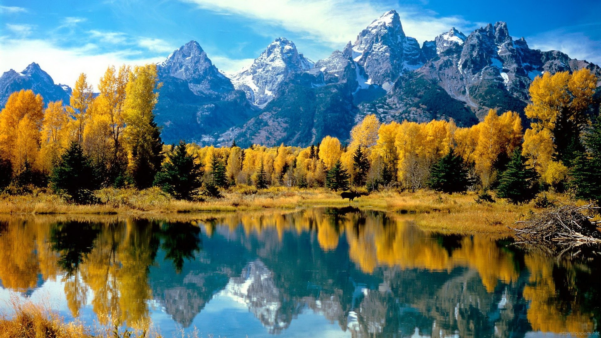 Natural Beauty Pics Hd