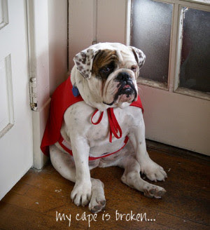the to inspirational day start quotes Quotes Sayings. QuotesGram English Bulldog