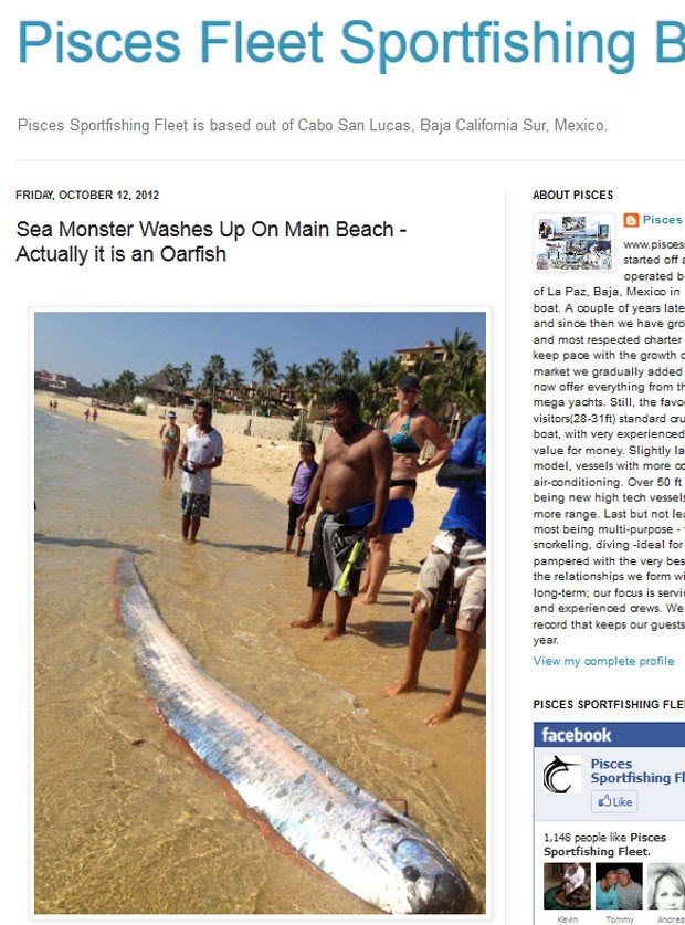 Peixe remo de 6,1 metros foi encontrado em praia mexicana. (Foto: Reprodução)