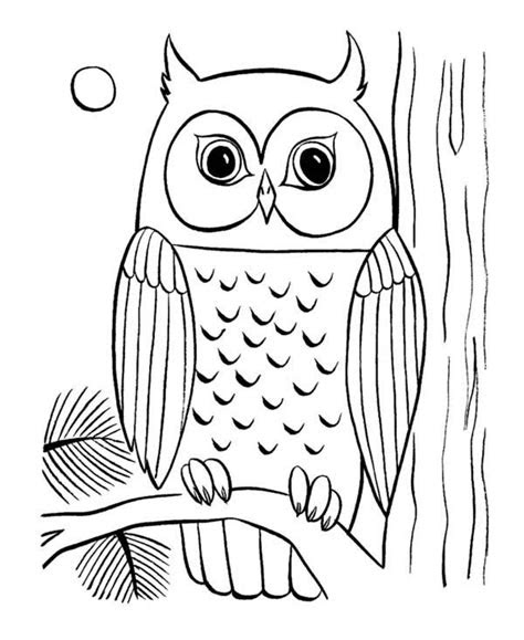 coloring pages  owls  print owl coloring page