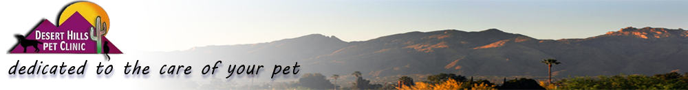 Desert Hills Pet Clinic Home Page