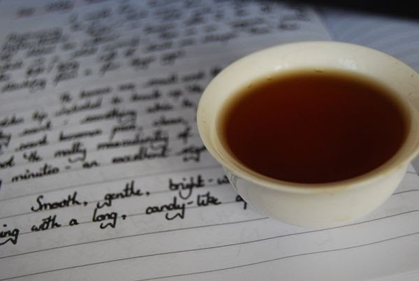 2011 Bailin Gongfu