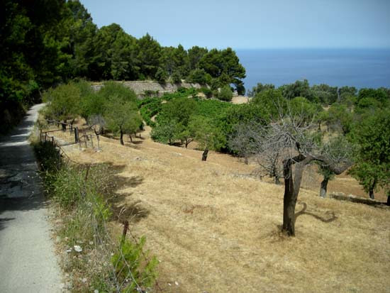 Mallorca