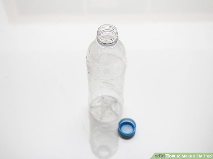 Make a Fly Trap Step 1 Version 3.jpg