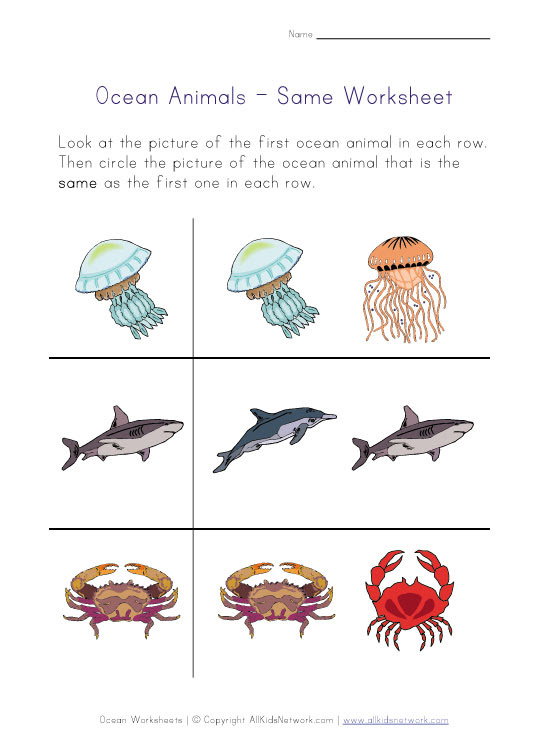 Ocean Animals Worksheet - Same
