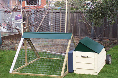 Chicken Coops