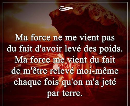 Bonjour Proverbe Et Citation Par Theme A Lire De Belles Citations D Amour Et Proverbes Francais