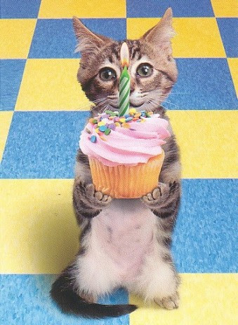Funny Happy Birthday