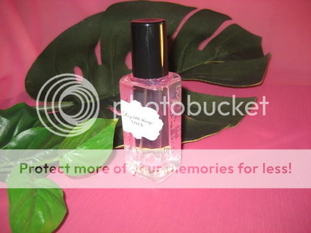 Victorias Secret Noir Wholesale