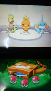 ポケットモンスターoras初動記 霰組相談役のぼやき