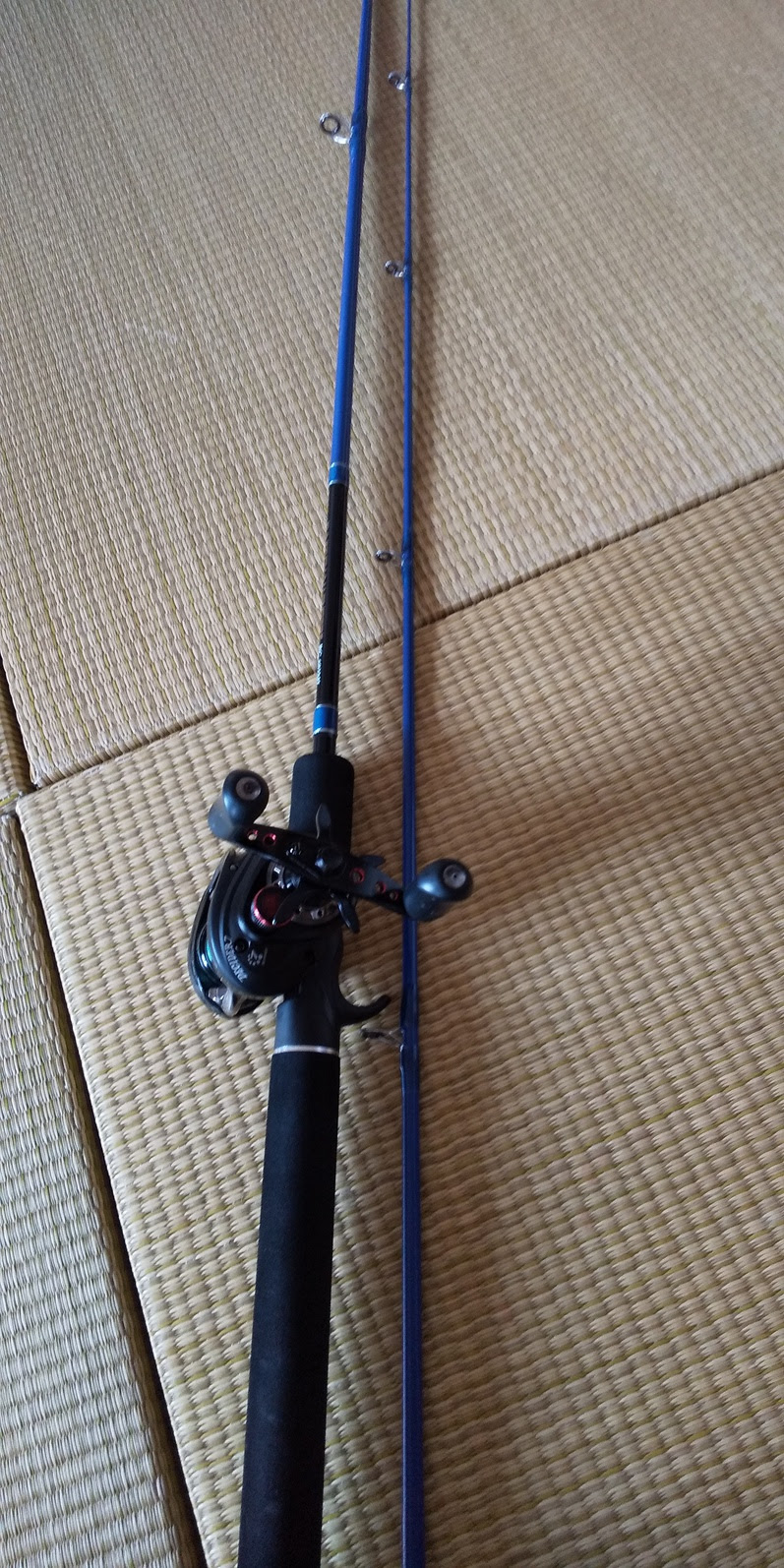 アングラーは水面下に夢を見るんだぜ 激安グラスロッドにはロッドの基本が備わっていたんだぜ