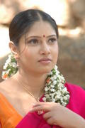 Tollywood Actress Sanghavi Half Saree Photos hot images