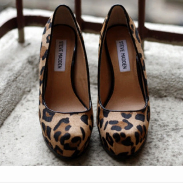 steve madden
