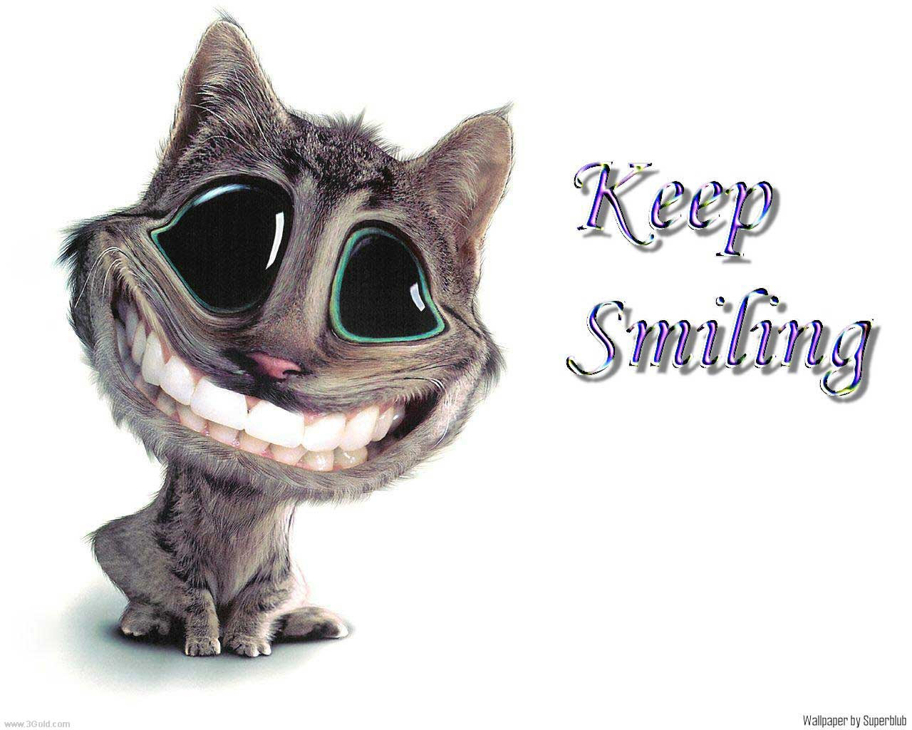 Most Funny Wallpapers Joyful Laughing Backgrounds