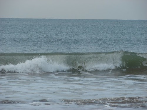 Best Wall Morning Gokarna