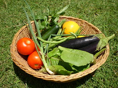 Natural Living