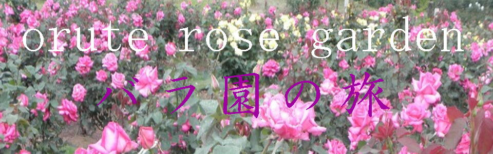 バラ園 ランキング 全国 18 バラ園 バラの名所情報 満開の薔薇を見に行こう