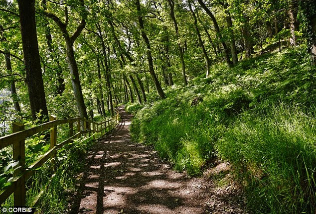 Walking in natural settings might be more relaxing because there are less distractions for the brain than in urban settings, meaning it can properly relax and enter into a state of contemplation