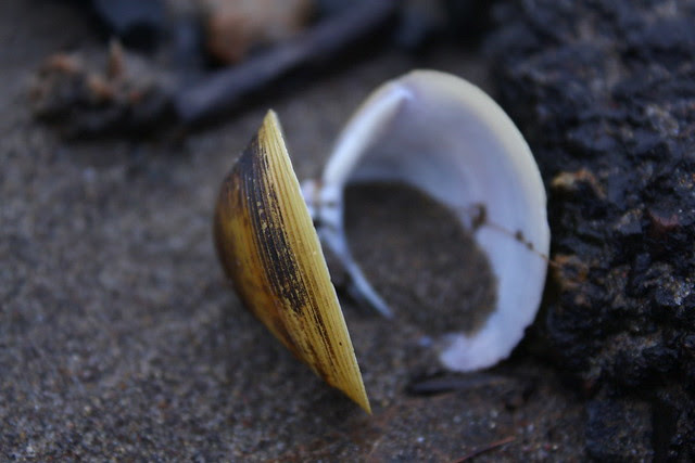 shell, kelley point park