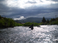 P7010613