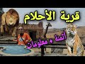 Dream village Mohammedia 🇲🇦- قرية الأحلام المحمدية   