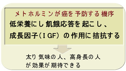 高齢者は癌予防薬 アスピリン で癌が進行する可能性がある