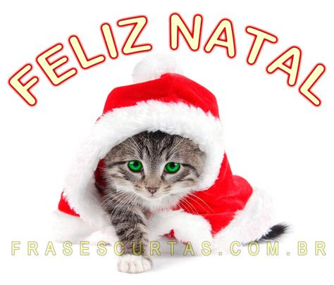 mensagem de natal frases curtas de natal frases curtas