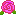 バラ