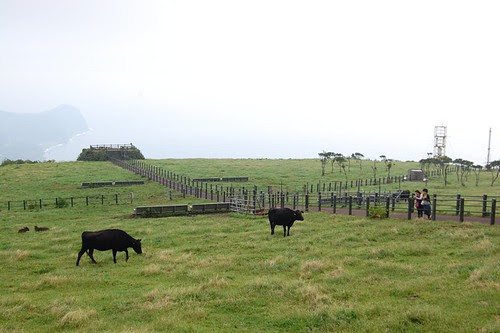 A farm in the mounten