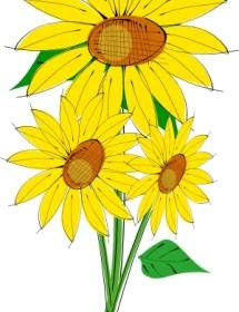 Kartun Bunga Matahari ClipArt Best Kartun Bunga Matahari ClipArt Best