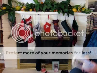 Stockings