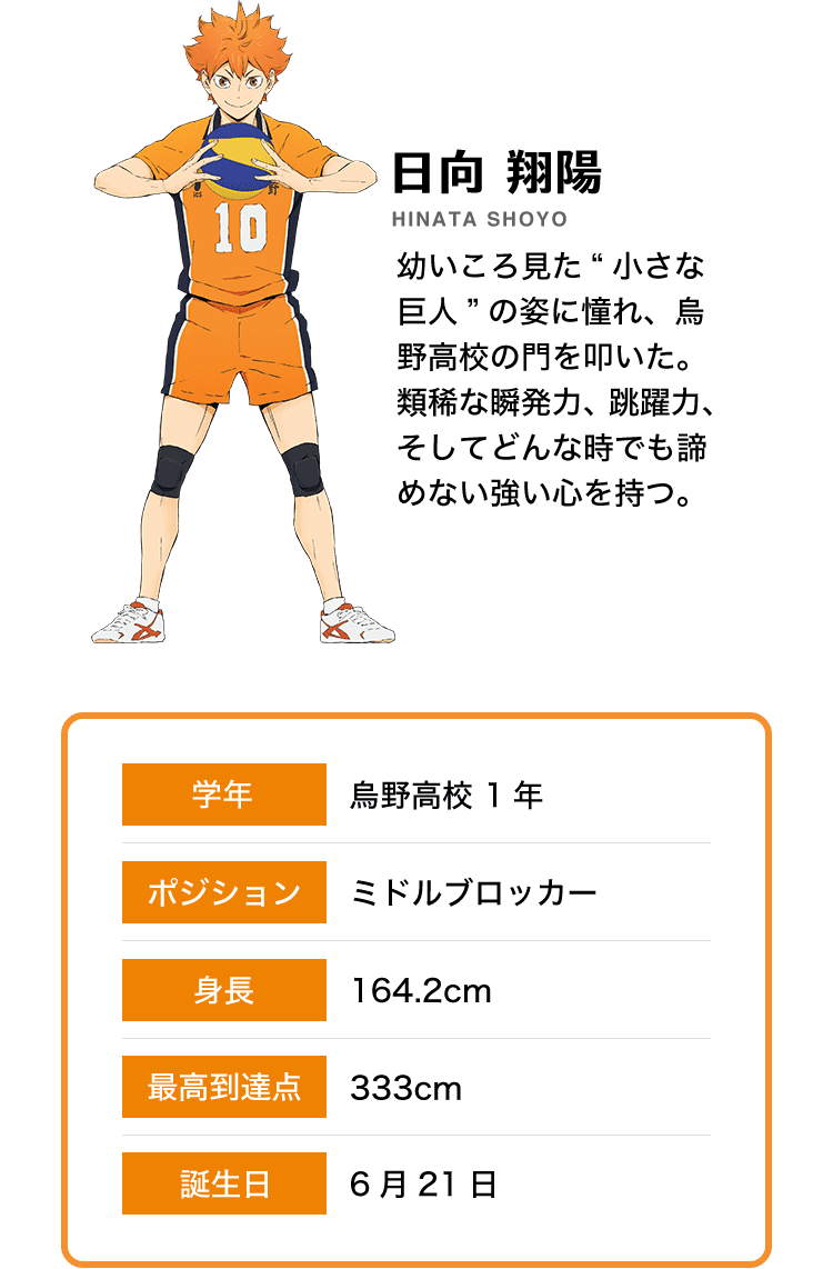 ハイキュー To The Top フィッシュソーセージ 丸大食品