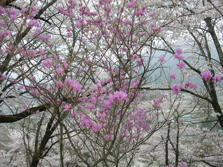 photo35-10.jpg