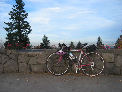 Lemond with Mt St Helens in the background