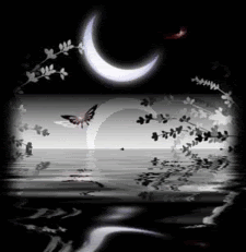 animated water with moon Pictures, Images and Photos