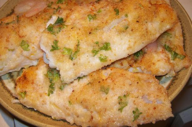 recipe baked walleye Baked Fish Recipe With Fillets Parmesan Food.com Oven Cheese recipe baked walleye Baked Fish Recipe With Fillets Parmesan Food.com Oven Cheese