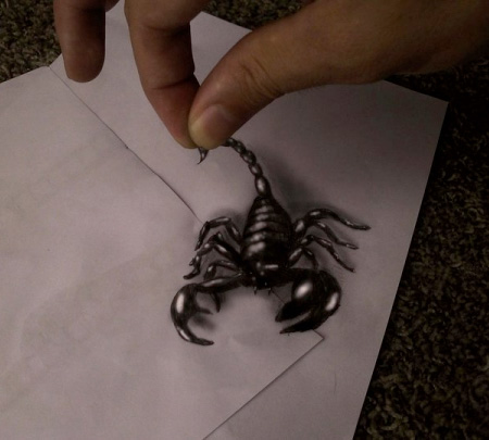 The Scorpion is Alive Optical Illusion