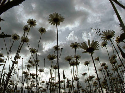 xanga-emanuel_bovet-photo