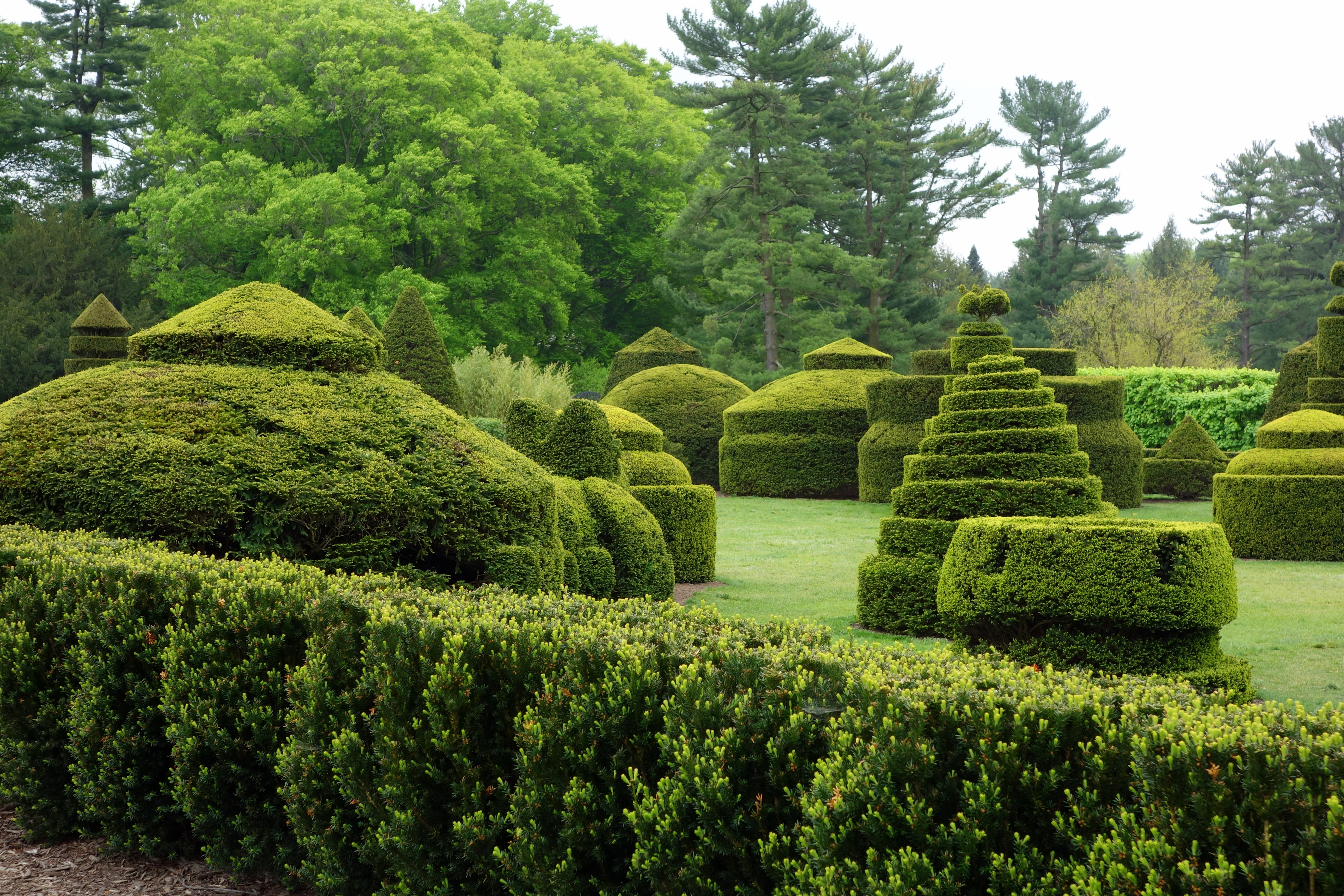 980 New topiary at longwood gardens 108 Description Topiary   Longwood Gardens   DSC00850.JPG 