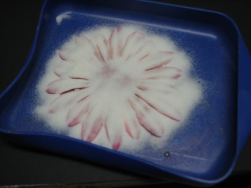 Faux Batik Dyed Flowers005