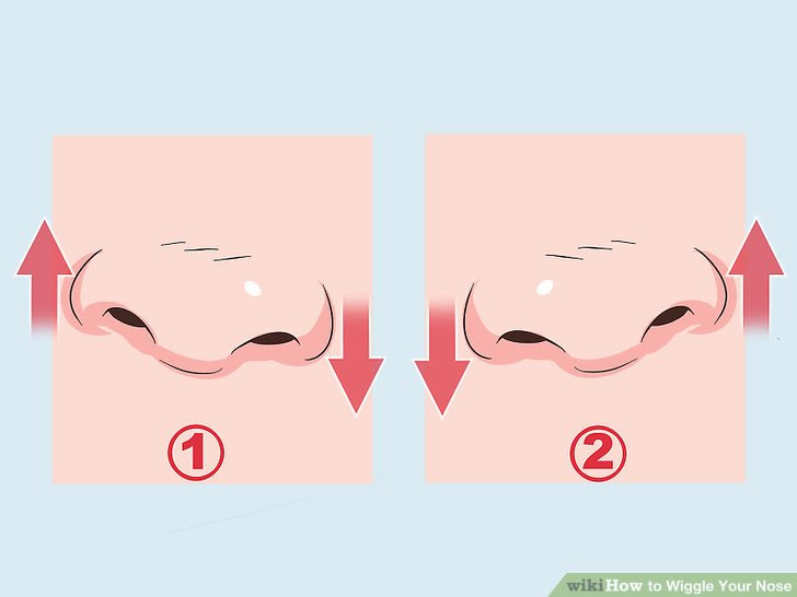 Wiggle Your Nose Step 6.jpg