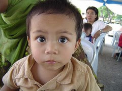 Farish