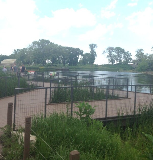 lincoln park board walk
