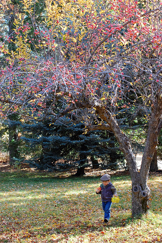2012Nov 277 ed